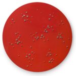 18. ZECH. Círculo rojo. Imanes sobre acero. 100cm diámetro. 2009 copia